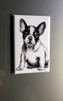 French Bulldogge Magnet eckig